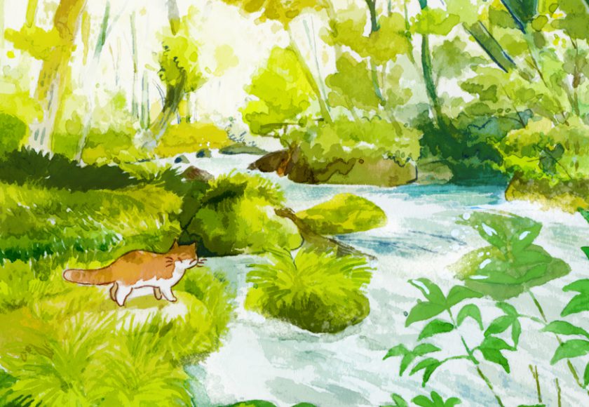 十和田湖・奥入瀬渓流